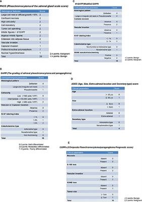 Recent Advances in Histopathological and Molecular Diagnosis in Pheochromocytoma and Paraganglioma: Challenges for Predicting Metastasis in Individual Patients